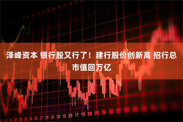 泽峰资本 银行股又行了！建行股价创新高 招行总市值回万亿